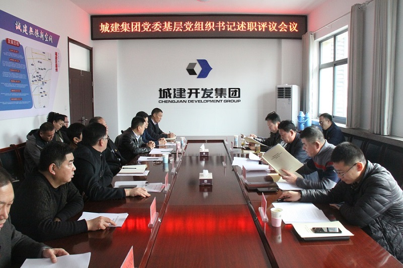 集團(tuán)黨委黨組織書記述職評(píng)議.JPG